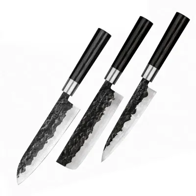 Набор кухонных ножей 3 в 1 Samura Blacksmith SBL-0220C-0