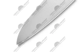 Нож кухонный Samura PRO-S Шеф - SP-0085, сталь AUS-8, рукоять G10, 200 мм